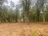 10 Ac Donniebrook Lane - Photo 17