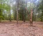 10 Ac Donniebrook Lane - Photo 18