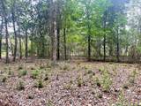10 Ac Donniebrook Lane - Photo 19