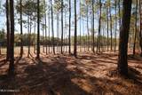Lot 2 Disalvo Lane - Photo 2