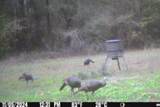 1912 Poplar Springs Road - Photo 9