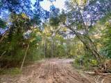  Quinlivan Rd - Photo 9