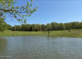 748 Bluegoose Road - Photo 45