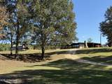 748 Bluegoose Road - Photo 6