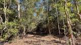  Old Hwy 49 - Photo 5