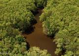  County Rd 176 - Photo 11