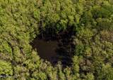 County Rd 176 - Photo 19