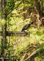  County Rd 176 - Photo 41