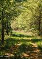  County Rd 176 - Photo 43