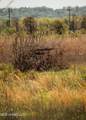  County Rd 176 - Photo 48