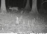  County Rd 176 - Photo 58