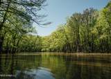  County Rd 176 - Photo 6