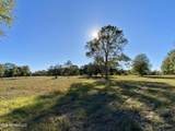  Carey Byrd Road - Photo 3