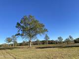  Carey Byrd Road - Photo 4