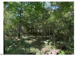 3605 Byhalia Road - Photo 3