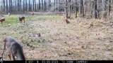 Tbd Cr 493 - Photo 23