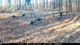 Tbd Cr 493 - Photo 24