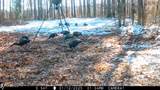Tbd Cr 493 - Photo 26