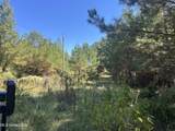 Causeyville Road - Photo 11