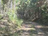  Causeyville Road - Photo 16