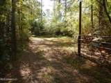  Causeyville Road - Photo 4