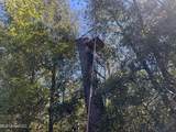  Causeyville Road - Photo 6