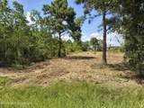 Nhn Bayou View Drive - Photo 7