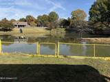 418 Carol Ann Cove - Photo 28