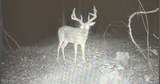  Holly Grove-Meeks Road - Photo 4