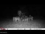  County Road 1327 - Photo 10