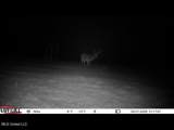  County Road 1327 - Photo 14