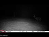  County Road 1327 - Photo 15