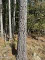  County Road 1327 - Photo 18