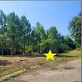 Lot #31 Pelican Cove Lane - Photo 10