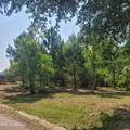 Lot #31 Pelican Cove Lane - Photo 6