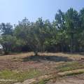 Lot #31 Pelican Cove Lane - Photo 7