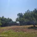Lot #31 Pelican Cove Lane - Photo 8