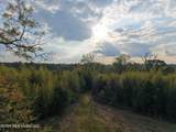  Roger Reid Road - Photo 1