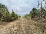  Roger Reid Road - Photo 10