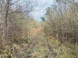  Roger Reid Road - Photo 5