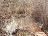  Roger Reid Road - Photo 8