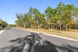 117 Live Oak Cove - Photo 8