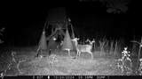 115 Wilderness Run - Photo 27