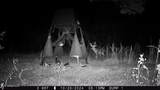 115 Wilderness Run - Photo 29