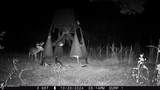 115 Wilderness Run - Photo 30