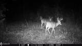 115 Wilderness Run - Photo 34