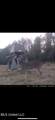 115 Wilderness Run - Photo 36
