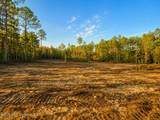 7105 Crazy Horse Drive - Photo 2