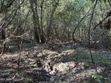 259 Forest Lake Road - Photo 24