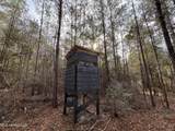 259 Forest Lake Road - Photo 25